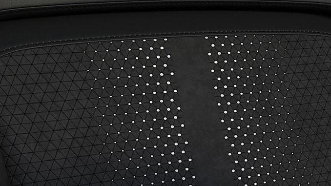 Suede in de kleur Black Onyx