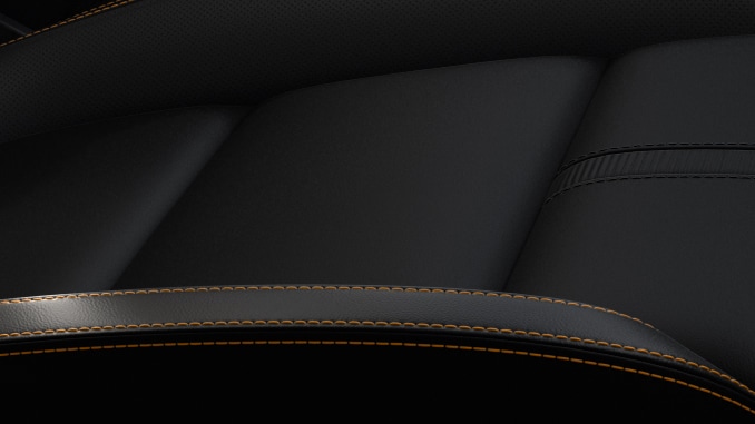 Sitzbezug Wildtrak/Stormtrak