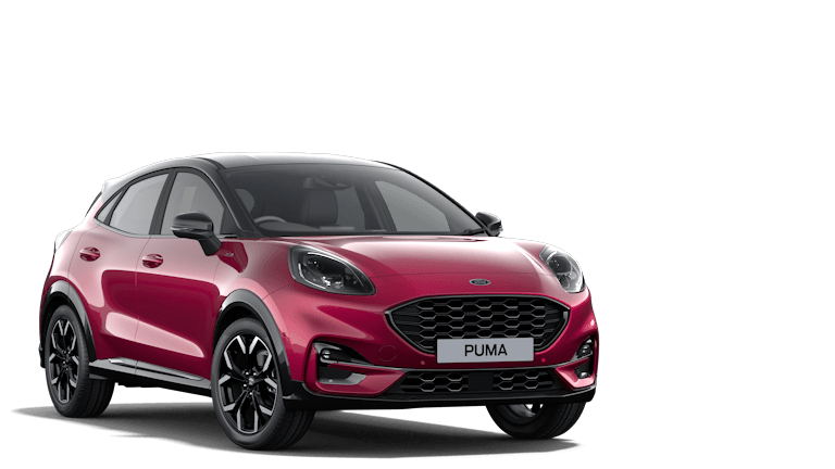 fiat puma